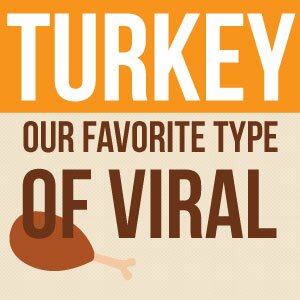 Turkey: Our Favorite Type of Viral